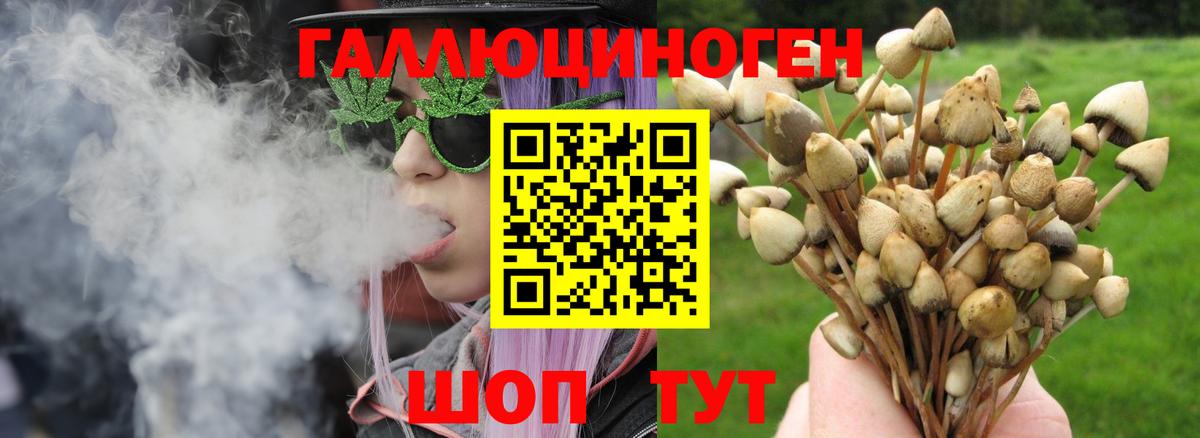 Ртищево  Псилоцибиновые грибы ЛСД  Вход с VPN 